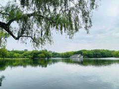 -上海共青森林公园