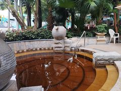 -碧水湾温泉