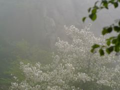 -崂山巨峰游览区