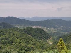 -东白山