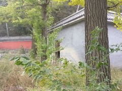 -阳台山自然风景区