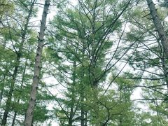 -萨尔浒风景区