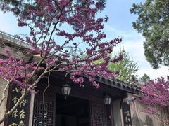 -涂山风景区