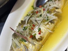 雪菜蒸大黄鱼-丰收日(五角场店)