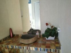 点击看大图 -一花一叶瑜伽生活馆