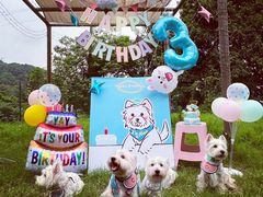 -趣多多宠物公园·宠物训犬学校·宠物寄养