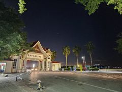 -大湾区中央湿地公园-十九涌