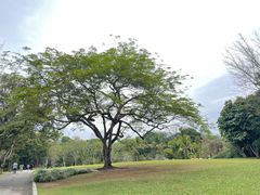 -中国科学院西双版纳热带植物园