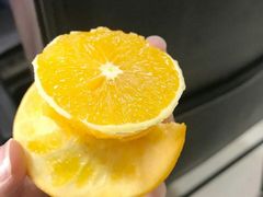 橙子-火豹自助火锅(宏信·河畔世家店)
