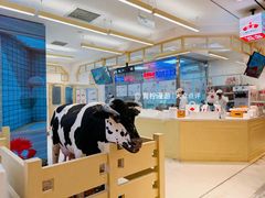 -红星前进面包牛奶公司(君太店)