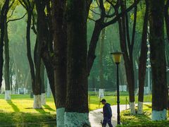 -重庆市江北嘴中央商务区中央公园