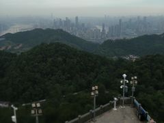 -大金鹰园