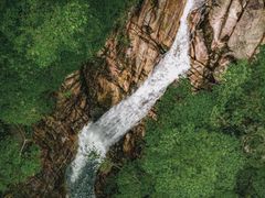 -九龙江国家森林公园