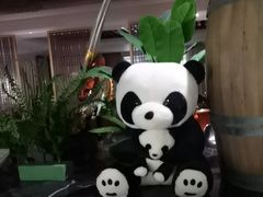 -九寨沟天源豪生度假酒店-豪庭轩中餐厅