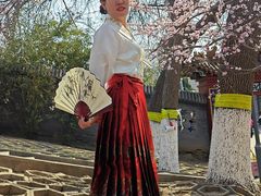 -桃花堤公园