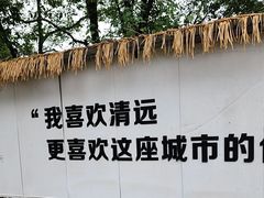-芭厘农庄老字号·清远鸡