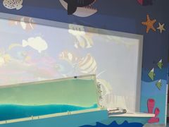 -湖南省科学技术馆