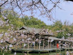 -西湖外事游船(花港观鱼码头)