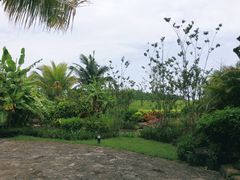 -沙美村