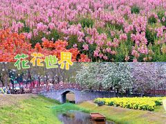 -盈香心动乐园