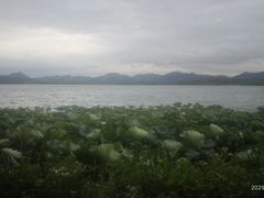 -湖畔居茶楼(湖滨店)