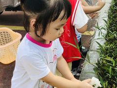 -全优加早教托育园(金海岸店)