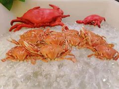 -大唐西市酒店-丝路阳光西餐厅