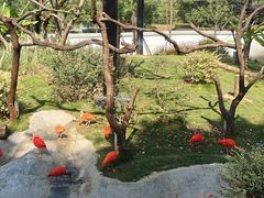 -武汉动物园