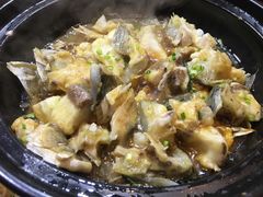 -杨厨的田园饭店(长城路店)