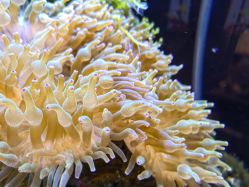 -Zoolung Zoolung动物主题公园(海信广场店)