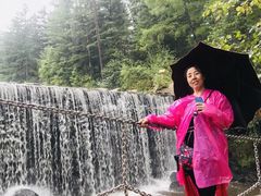 -汤旺河林海奇石景区