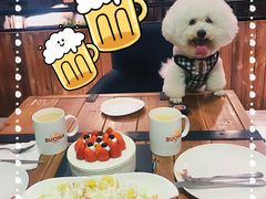 -百好乐宠物友好餐厅(朝外大街店)