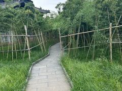 -关林