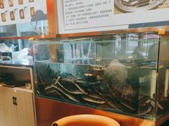 -三宝泥炉·活烤鳗鱼(七宝宝龙店)