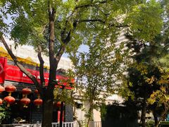 -顺承小院儿