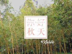 -火炉山森林公园