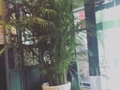 -阿莉餐厅(枣阳路店)