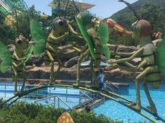 -苏州乐园森林水世界