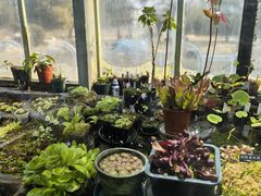 -国家植物园南园