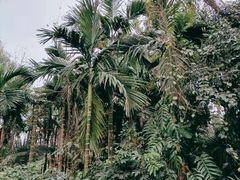 -美亭美榔姐妹塔