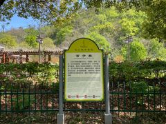 -幕燕滨江·长江观音景区