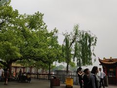 -西湖外事游船(湖滨二公园外事游船码头)