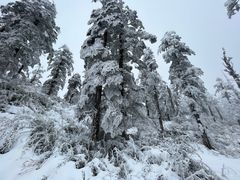 -瓦屋山景区