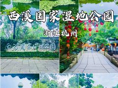 -西溪国家湿地公园