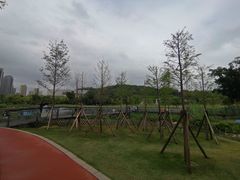 -牛岗山公园