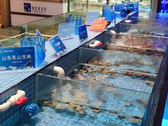 水产区-小天鹅戴斯酒店鲸鲨百汇创作料理