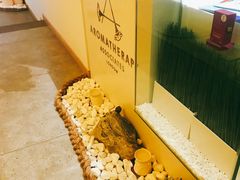 -三间愈舍·Triple Spa(重庆IFS国金中心店)