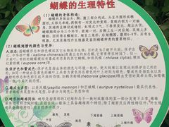 -上海大自然野生昆虫馆(东方明珠·爬宠昆虫探索中心)