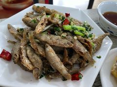 -品雅轩农家乐