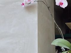 -十一咖啡(青年大街工厂店)